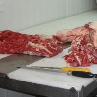 Viande fraîche de porc dès 19.-/kg
